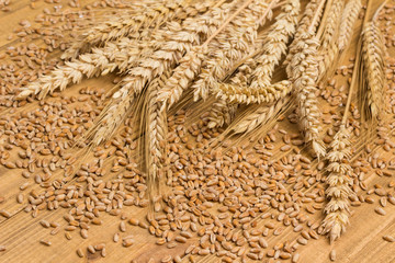 Spikelets of wheat and whole grains. Healthy carbohydrates