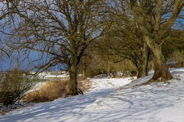 Wooded rural footpath under winter snow