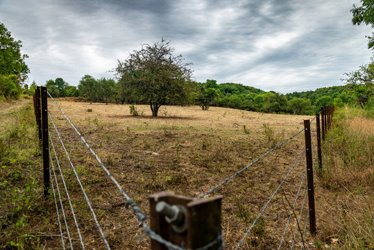 Vue d'une prairie ou d'un p&acirc;turage en pleine canicule depuis le pilone d'un fil barbel&eacute;
