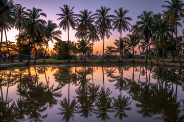 Fototapeta na wymiar Summer sunset, The reflection of the water of the coconut trees during sunset time.