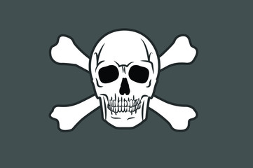 Vector Isolated Illustration of a Pirate Flag with a Skull and Two Crossed Bones 