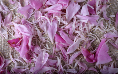 Peony petals on bagging