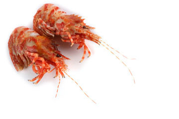 Shrimps isolated on white (northern Bering shrimp)