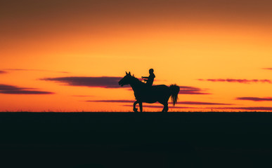 horse and rider at sunset