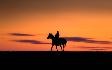 Fototapeta na wymiar horse and rider at sunset