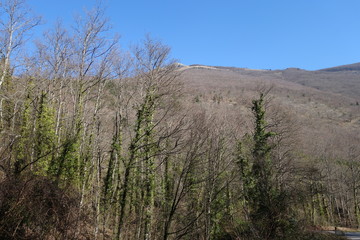 Monte Catria