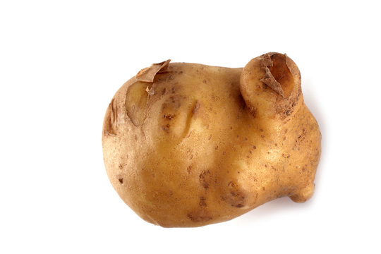 Funny ugly potato