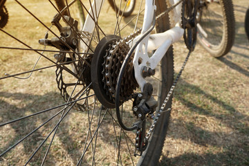 Gears of bike, Bicycle gear, Rear wheel cassette, bicycle gears mechanism and chain on the rear wheel of mountain bike