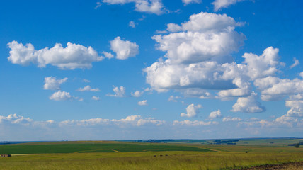 green field and blue sky