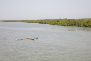 Fototapeta na wymiar Traditonelles Einbaum-Fischerboot (Piroge) im Casamance-Fluss im Senegal