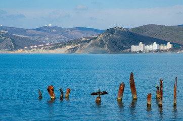 Landscape of Black Sea coast
