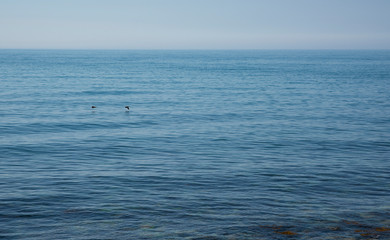 Obraz premium Black sea coast