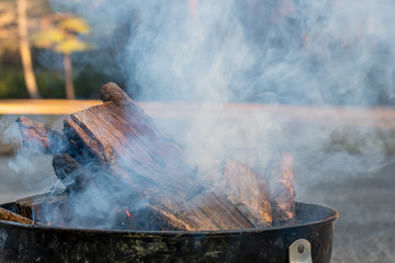 Fire pit, stacked logs and smokey forest background with copy space ~SMOKE~