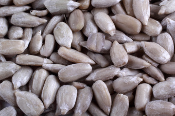 Sunflower seeds background