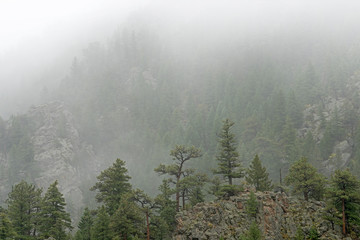 Landscape of the Saint Vrain Canyon in fog, Front Range, Rocky Mountains, Colorado, USA