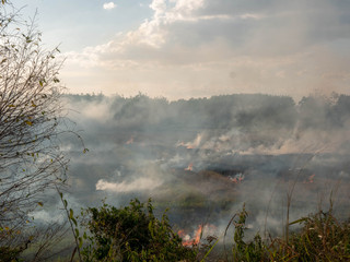 Open burning of rice field after harvesting  to cultivated fields to clear rice straws and waste before sowing a new crop