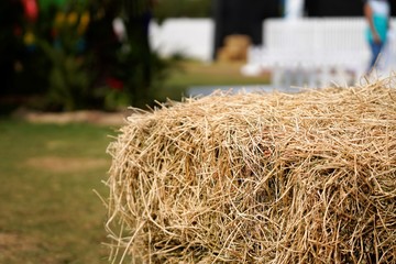 bale of straw in a field