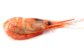 Shrimp isolated on white. Fresh sea food