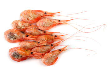 Shrimps isolated on white. Fresh sea food