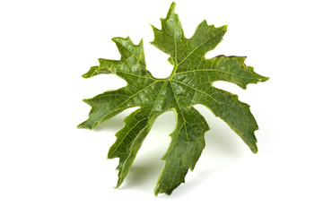 Bitter melon leaves (bitter squash, bitter apple, momordica) leaf