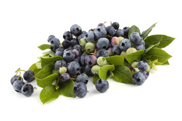 Blueberries isolated on white. Fresh organic berries
