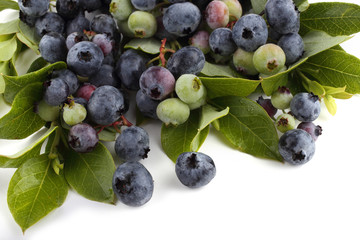 Blueberries isolated on white. Fresh organic berries