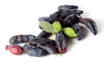Honeyberry isolated on white. Ripe and unripe berries
