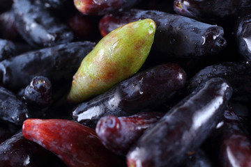 Honeyberries background. Far Eastern delicacy. Macro