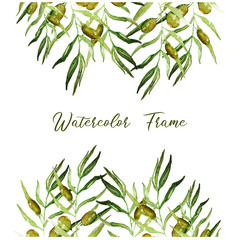 Vector watercolor pattern of olive branches. Акварельные оливки