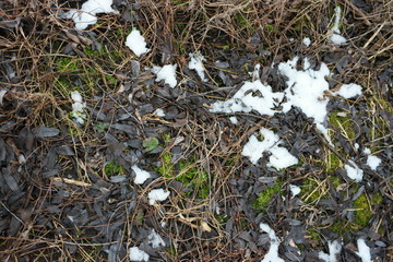  snow on dry brown grass