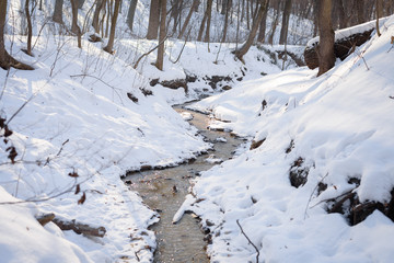 Winter creek in the park, Russia, Ulyanovsk