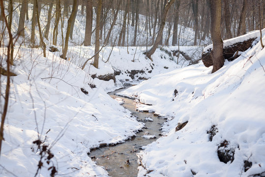 Winter Creek In The Park, Russia, Ulyanovsk