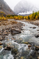 Autumn in the Aktru River Valley. Severo-Chuysky ridge, Altai Republic, Russia