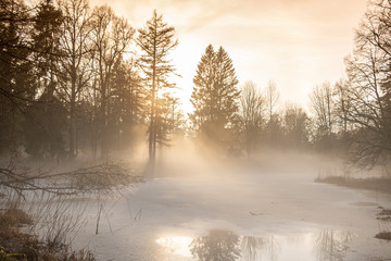Naklejka na ściany i meble Misty sunset at the frozen pond after the rain in early spring with surrounding trees in Latvia