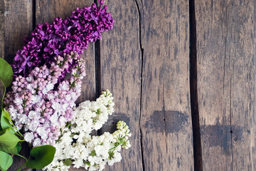 Beautiful lilac on a wooden background