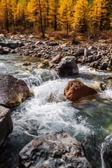 Autumn in the Aktru River Valley. Severo-Chuysky ridge, Altai Republic, Russia