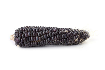 Black corn isolated on white