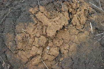  realistic texture of clay