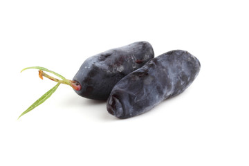 Honeysuckle berries (honeyberry, haskap)