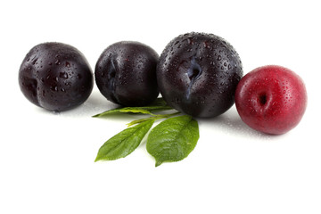 Plums and leaves