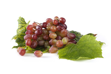 Obraz premium Grape on autumn leaves