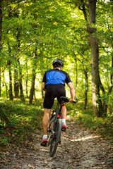 Mountain biker in the forest