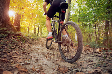 mountain bike in sunny forest - obrazy, fototapety, plakaty