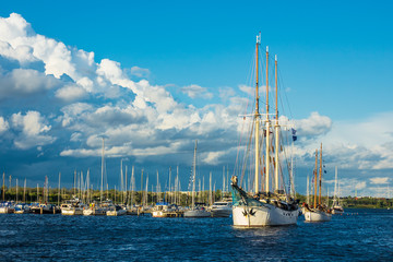 Segelschiffe auf der Hanse Sail in Rostock