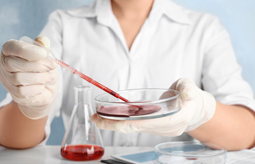 Scientist taking blood sample from Petri dish with pipette in laboratory, closeup. Virus research