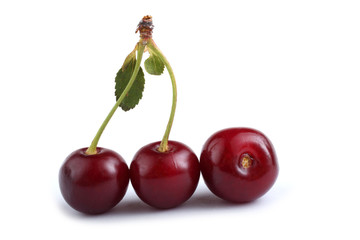 Cherries and leaves isolated on white background