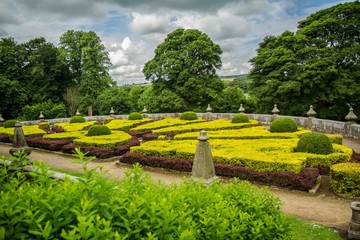 Gardens and Parks flowers and plants