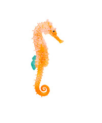 drawn seahorse in the water, illustration
