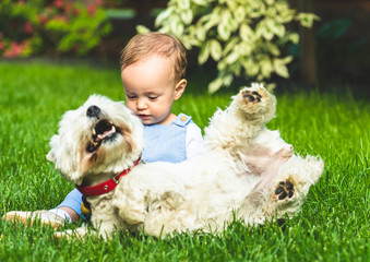 Happy baby girl playing with domestic family dog on green grass at back yard lawn