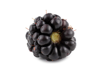 Blackberry isolated on white